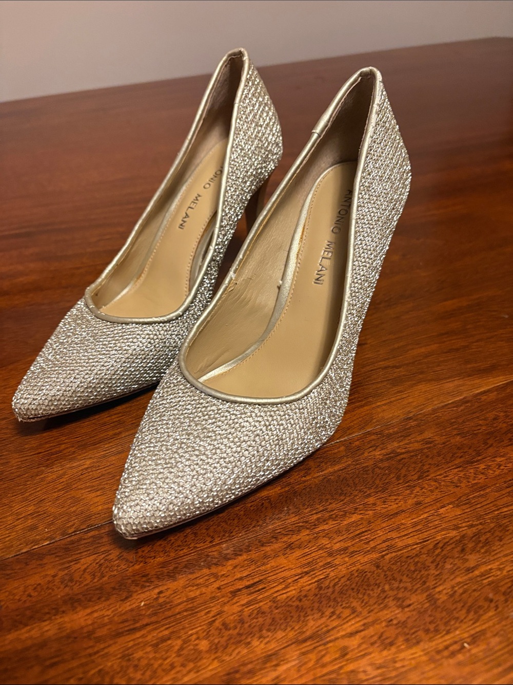 ANTONIO MELANI Glitter Pointed Toe Pumps in Silver